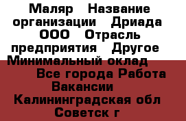 Маляр › Название организации ­ Дриада, ООО › Отрасль предприятия ­ Другое › Минимальный оклад ­ 18 000 - Все города Работа » Вакансии   . Калининградская обл.,Советск г.